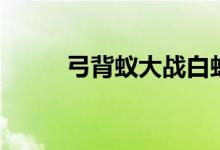 弓背蟻大戰(zhàn)白蟻（弓背蟻的特點）