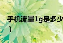 手機流量1g是多少錢（手機流量1g是多少兆）