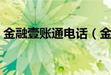 金融壹賬通電話（金融壹賬通是個(gè)什么機(jī)構(gòu)）