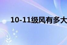 10-11級(jí)風(fēng)有多大（10-11級(jí)風(fēng)有多大）