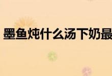 墨魚燉什么湯下奶最快（墨魚燉什么營養(yǎng)好）