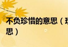 不負(fù)珍惜的意思（珍惜所有不負(fù)遇見是什么意思）