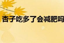 杏子吃多了會(huì)減肥嗎（杏子吃多了會(huì)怎么樣）
