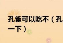 孔雀可以吃不（孔雀可以吃嗎 大家可以認(rèn)識一下）