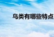 鳥類有哪些特點(diǎn)（鳥類有哪些 南方）