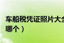 車船稅憑證照片大全圖片（車船稅憑證照片是哪個）