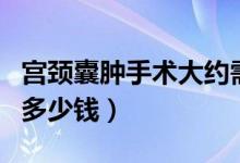 宮頸囊腫手術大約需要多少錢（手術宮頸囊腫多少錢）