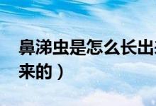 鼻涕蟲(chóng)是怎么長(zhǎng)出來(lái)的?（鼻涕蟲(chóng)是怎么長(zhǎng)出來(lái)的）