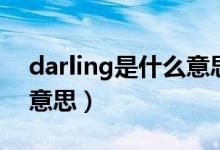 darling是什么意思中文（英語(yǔ)darling什么意思）