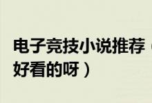 電子競(jìng)技小說(shuō)推薦（電子競(jìng)技小說(shuō)有哪些比較好看的呀）
