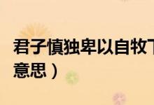 君子慎獨卑以自牧下一句（君子慎獨卑以自牧意思）
