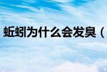 蚯蚓為什么會發(fā)臭（蚯蚓為什么會發(fā)出叫聲）