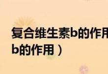 復(fù)合維生素b的作用與功效（盤點(diǎn)復(fù)合維生素b的作用）