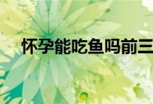 懷孕能吃魚(yú)嗎前三個(gè)月（懷孕能吃魚(yú)嗎）