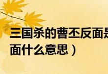 三國殺的曹丕反面是多少回合（三國殺曹丕翻面什么意思）