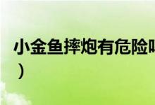 小金魚摔炮有危險嗎（小金魚摔炮原理是什么）