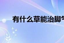 有什么草能治腳氣（有什么草能驅(qū)蟲(chóng)）