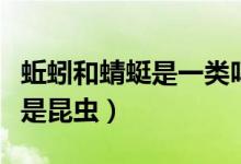 蚯蚓和蜻蜓是一類嗎（蚯蚓蝸牛蜈蚣蜻蜓哪個(gè)是昆蟲）