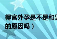 得宮外孕是不是和男方有問(wèn)題（宮外孕是男方的原因嗎）