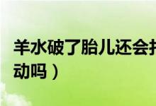 羊水破了胎兒還會(huì)打嗝嗎（羊水破了胎兒還會(huì)動(dòng)嗎）