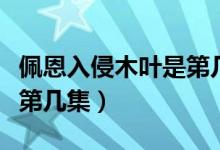 佩恩入侵木葉是第幾集動畫（佩恩入侵木葉是第幾集）