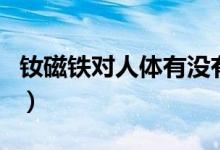 釹磁鐵對(duì)人體有沒(méi)有危害（釹磁鐵對(duì)人有害嗎）