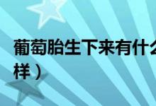 葡萄胎生下來有什么后果（葡萄胎生下來什么樣）