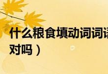 什么糧食填動(dòng)詞詞語（什么糧食填動(dòng)詞吃糧食對(duì)嗎）