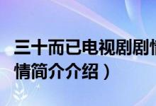 三十而已電視劇劇情介紹（三十而已電視劇劇情簡介介紹）