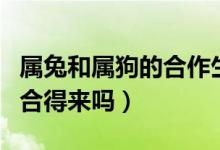 屬兔和屬狗的合作生意好不好（屬兔和屬狗的合得來嗎）