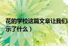 花的學校這篇文章讓我們感受到了什么（花的學校向我們展示了什么）
