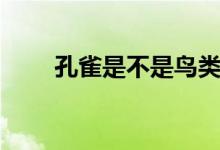 孔雀是不是鳥類（孔雀是不是鳥類）