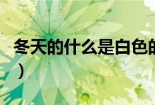 冬天的什么是白色的仿寫(xiě)（冬天的什么填詞語(yǔ)）
