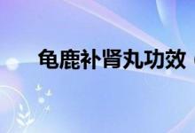 龜鹿補腎丸功效（龜鹿補腎丸的作用）