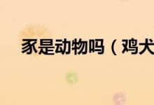 豕是動物嗎（雞犬豕這個豕是什么動物）