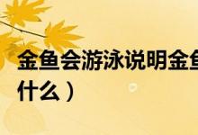 金魚會(huì)游泳說明金魚能怎么樣（金魚游泳是靠什么）
