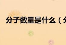 分子數(shù)量是什么（分子的數(shù)量級什么意思）