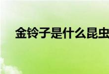 金鈴子是什么昆蟲（金鈴子長什么樣子）