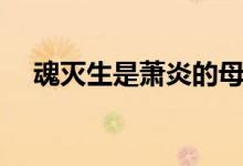魂滅生是蕭炎的母親（魂滅生是斗帝嗎）