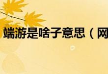 端游是啥子意思（網(wǎng)上說(shuō)的端游是什么意思）
