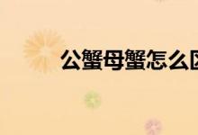 公蟹母蟹怎么區(qū)分（公蟹有膏嗎）