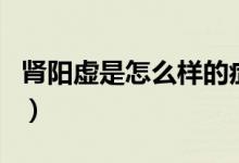 腎陽虛是怎么樣的癥狀（腎陽虛是怎么造成的）