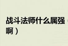 戰(zhàn)斗法師什么屬強（戰(zhàn)斗法師到底堆什么屬性?。?class=