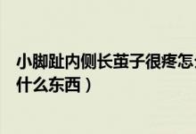 小腳趾內側長繭子很疼怎么回事（小腳趾外側長繭子很疼是什么東西）