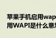 蘋果手機啟用wapi是什么東西（蘋果手機啟用WAPI是什么意思）