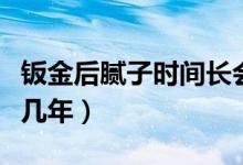 鈑金后膩子時間長會掉嗎（車鈑金刮膩子能挺幾年）