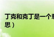 丁克和克丁是一個(gè)意思嗎（克丁克卯是什么意思）