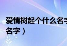 愛情樹起個(gè)什么名字（兩個(gè)人的愛情樹叫什么名字）