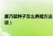 康乃馨種子怎么養(yǎng)殖方法（康乃馨種子的種植方法和注意事項(xiàng)）