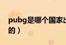 pubg是哪個國家出品的（pubg是哪個國家的）